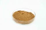 Horsetail Extract
